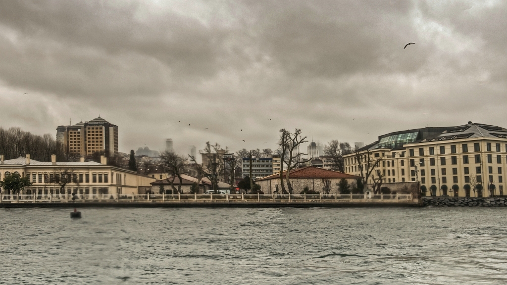 20150314_464 466.JPG - ... kil en stevige regen...